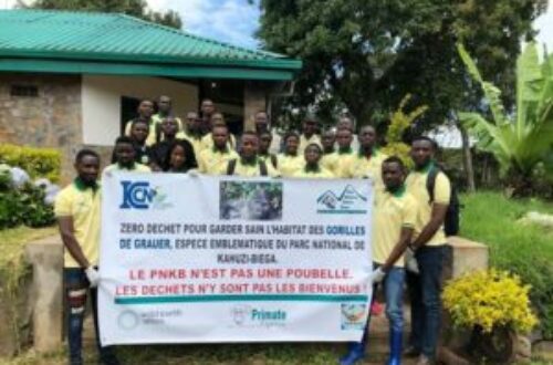 Article : RDC : des étudiants en guerre contre la destruction de l’environnement à Bukavu